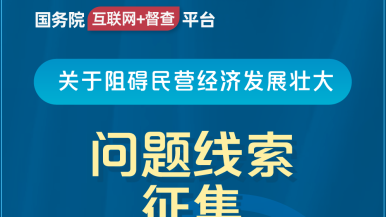 动漫3d白虎操喷水国务院“互联网+督查”平台公开征集阻碍民营经济发展壮大问题线索